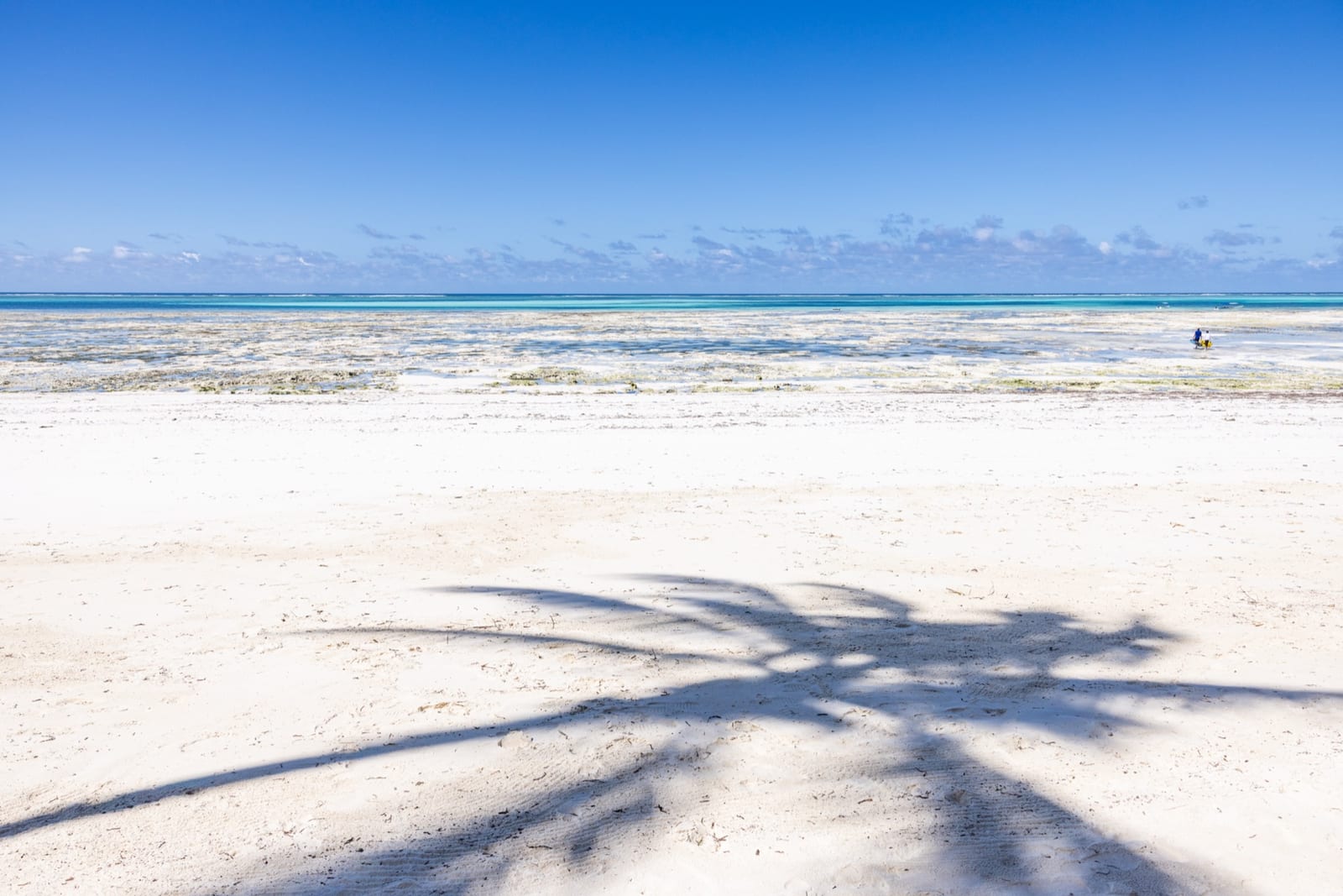 The beach directly in front of Boutique Hotel Matlai in Michamvi Pingwe