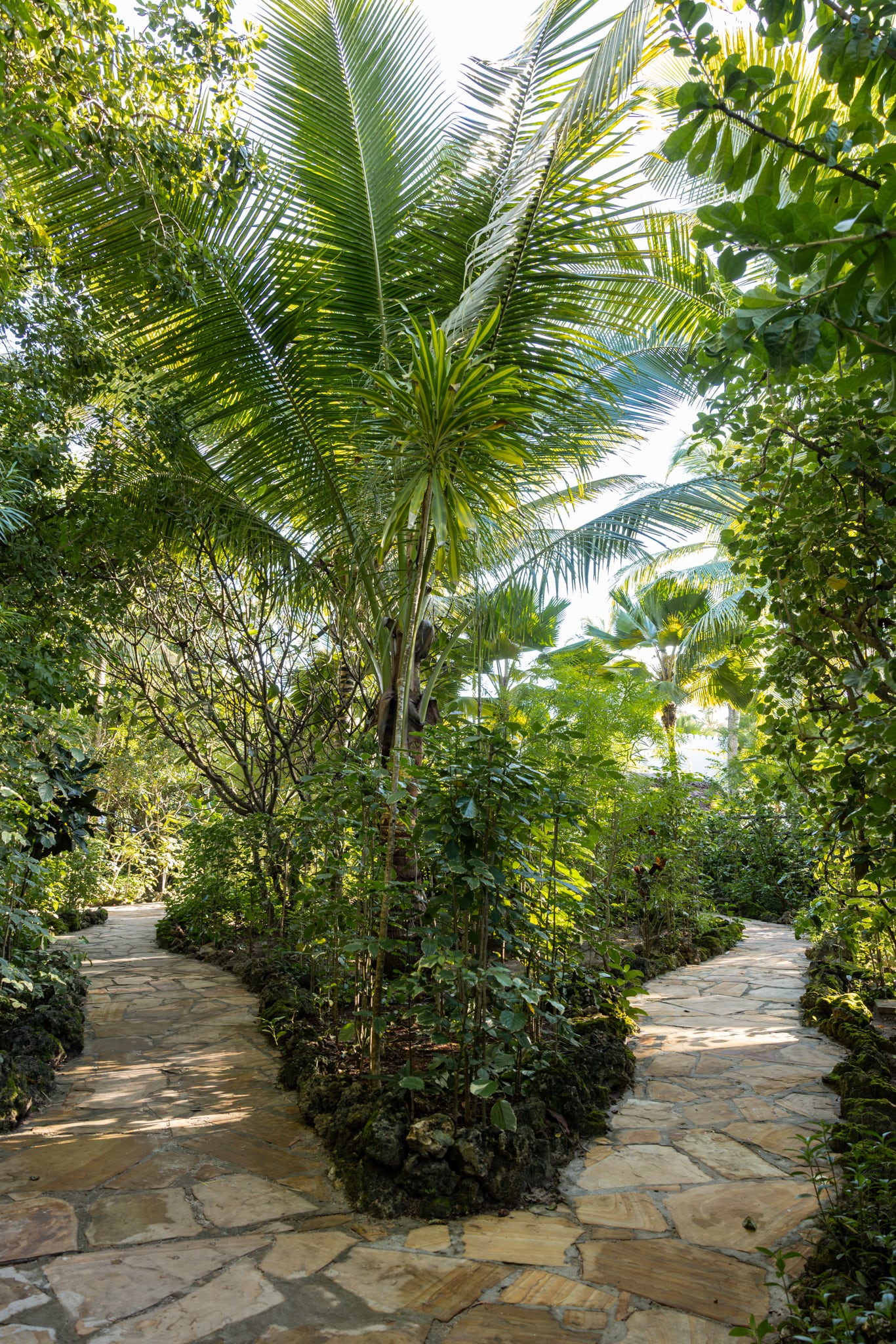 A coral-stone path through the garden between the houses at Matlai