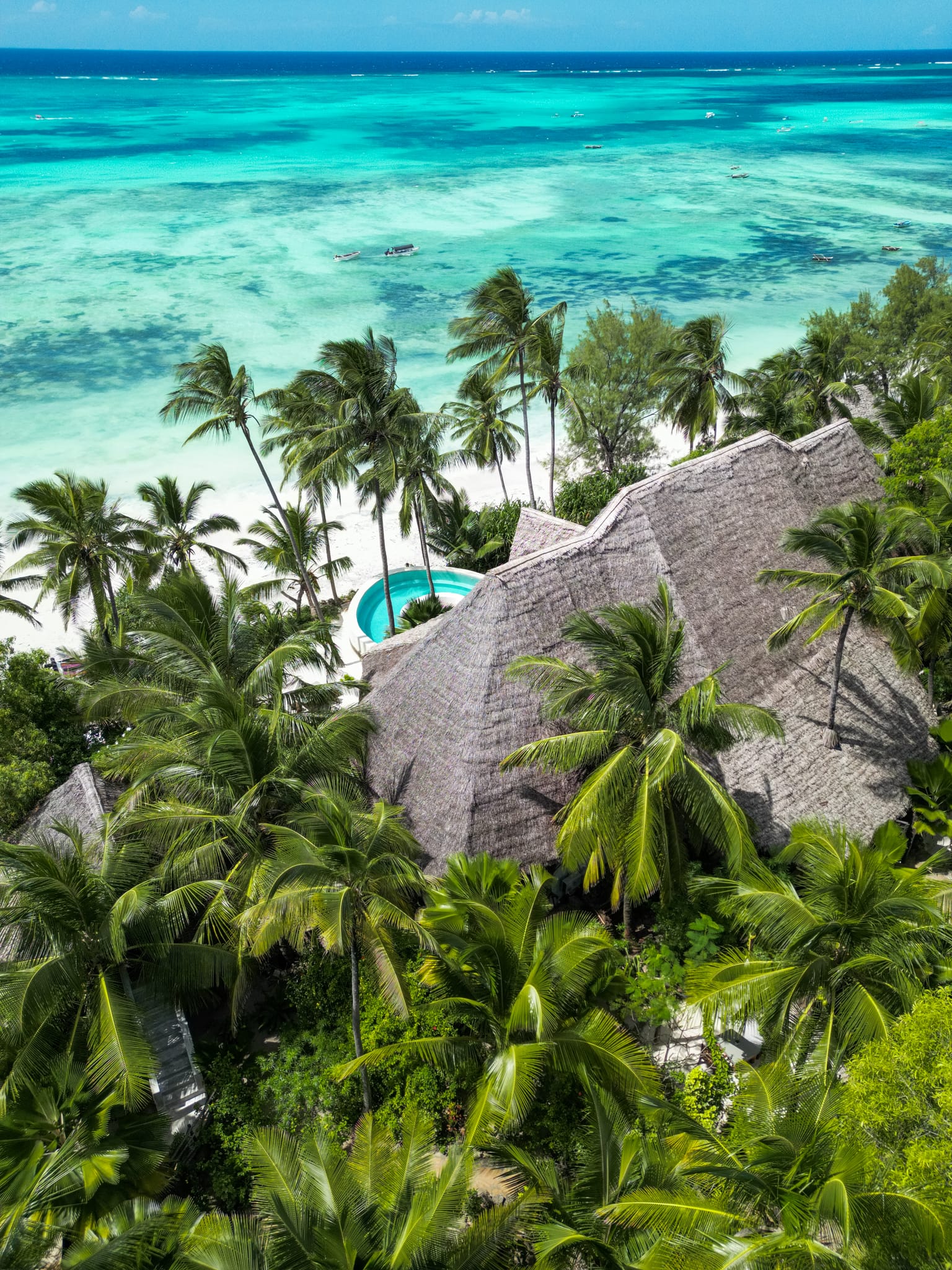 A thatched roof among palms beside a turquoise sea, seen from above