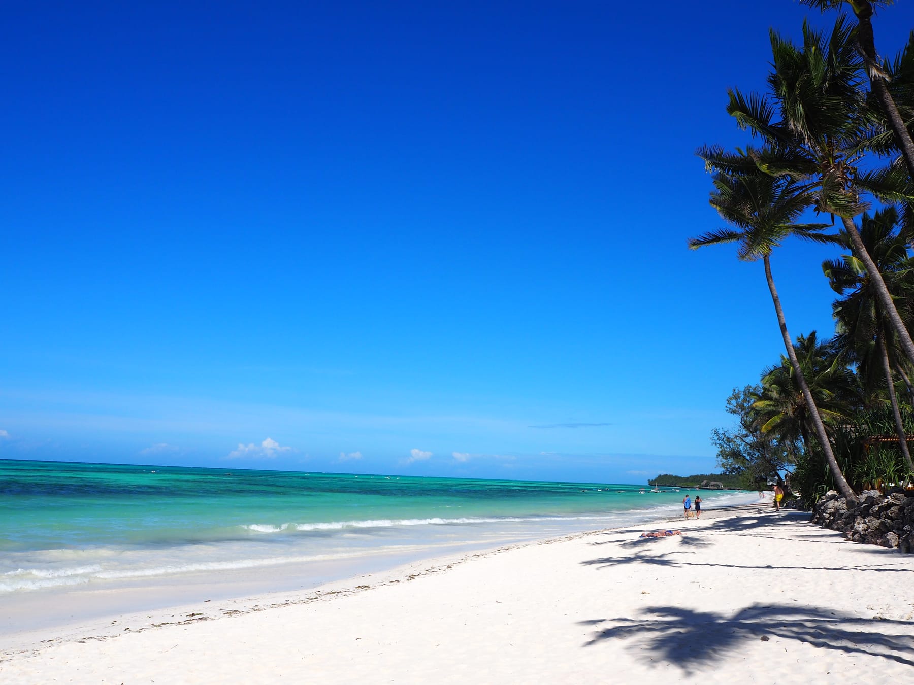 Palms over the beach under a blue sky