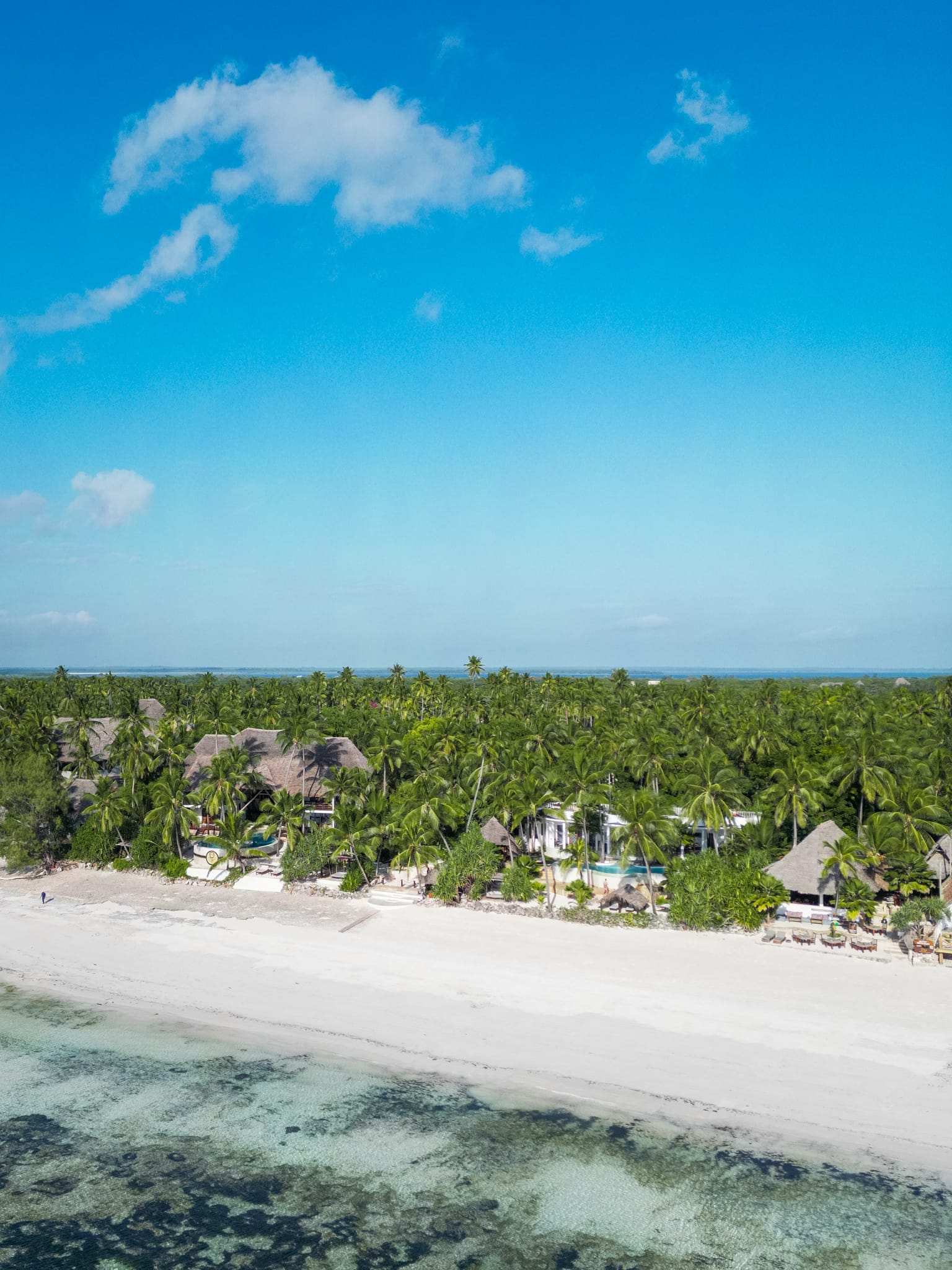 A white beach with a band of palms and thatched roofs, and pale reef water in the foreground, under a blue sky
