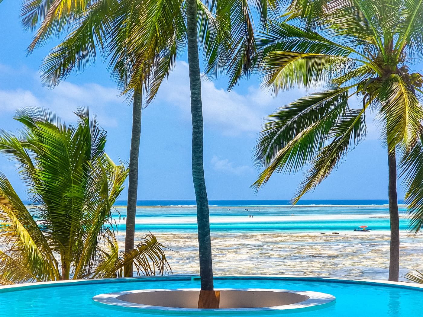 Hotel a Zanzibar con piscina a sfioro: Vedute della Costa Orientale all'Hotel Matlai