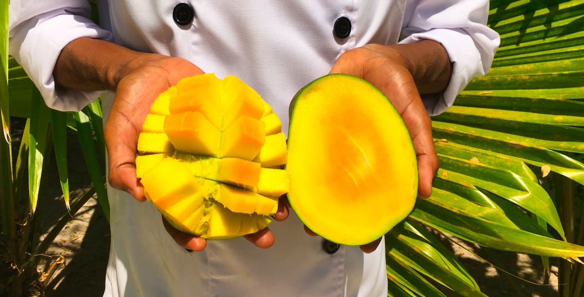 Les Délices Culinaires de Zanzibar : Saveurs Swahilies, Plantations d'Épices et Dîner à Matlai (4)