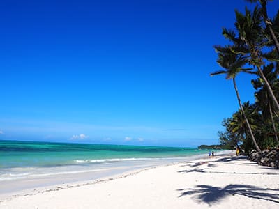 Matlai beach Michamvi Pingwe