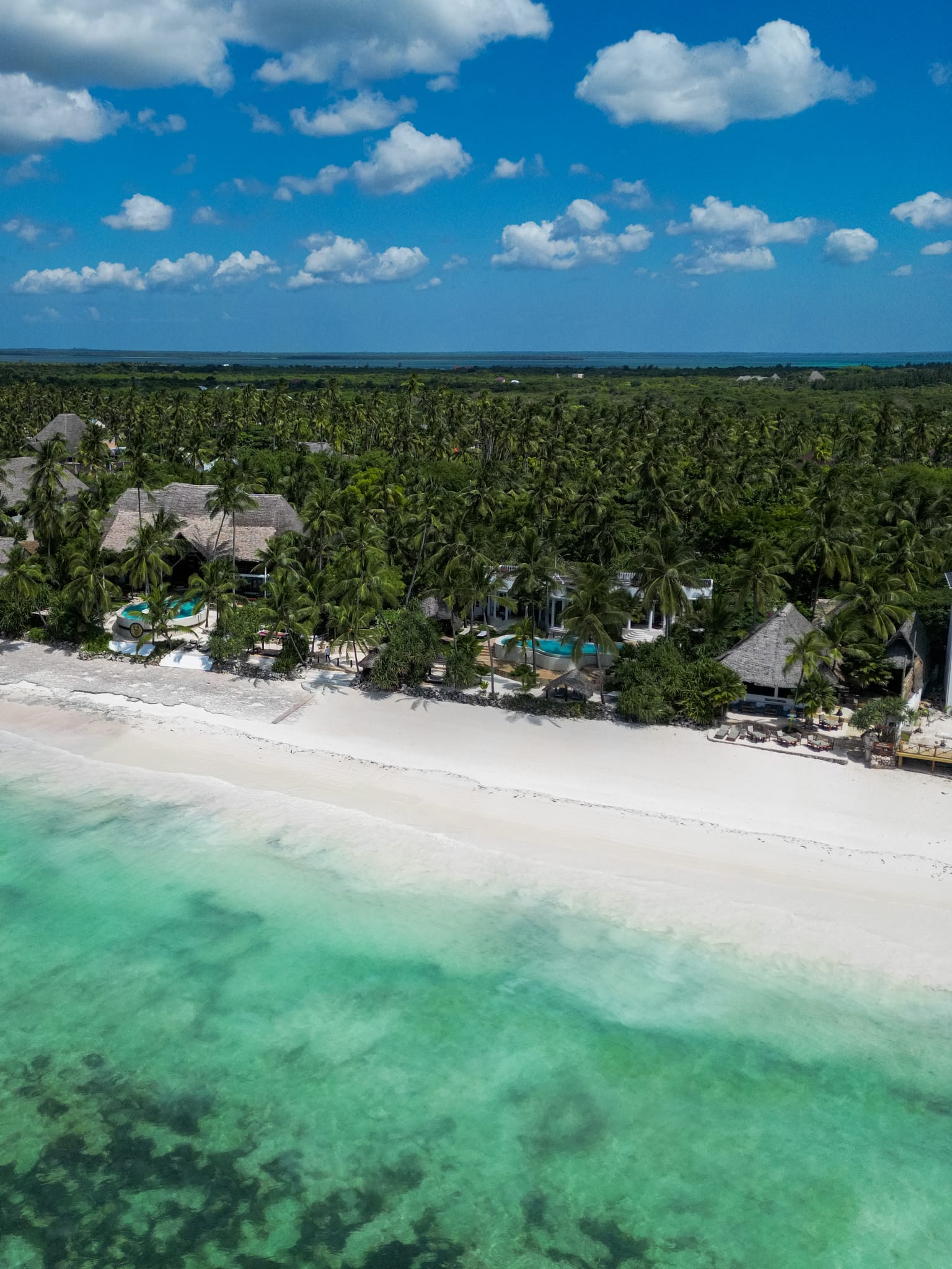 The coast from above: turquoise water, a white beach and thatched roofs among palms