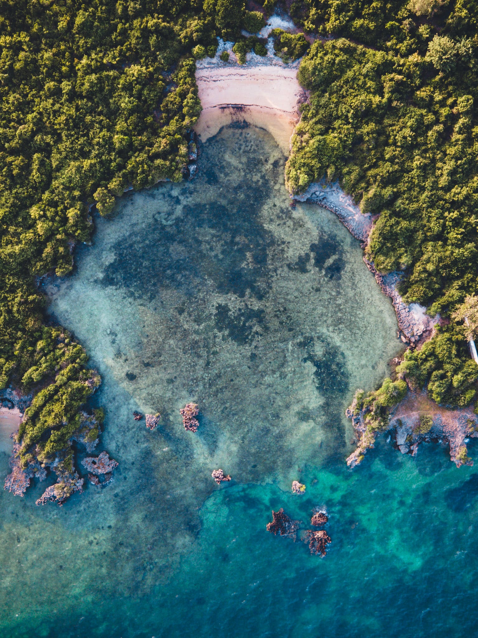 A cove of shallow turquoise water and reef ringed by green vegetation, seen from above