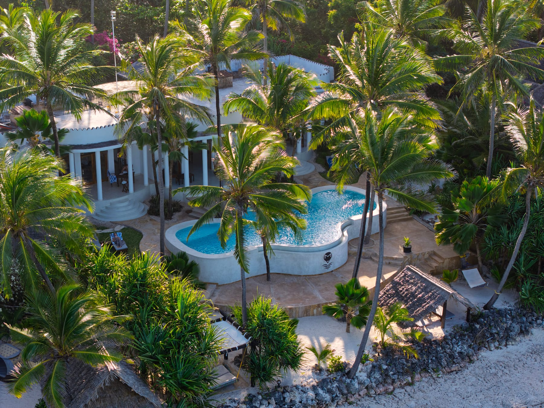 Villa Kidosho y su piscina entre las palmeras, vistas desde arriba
