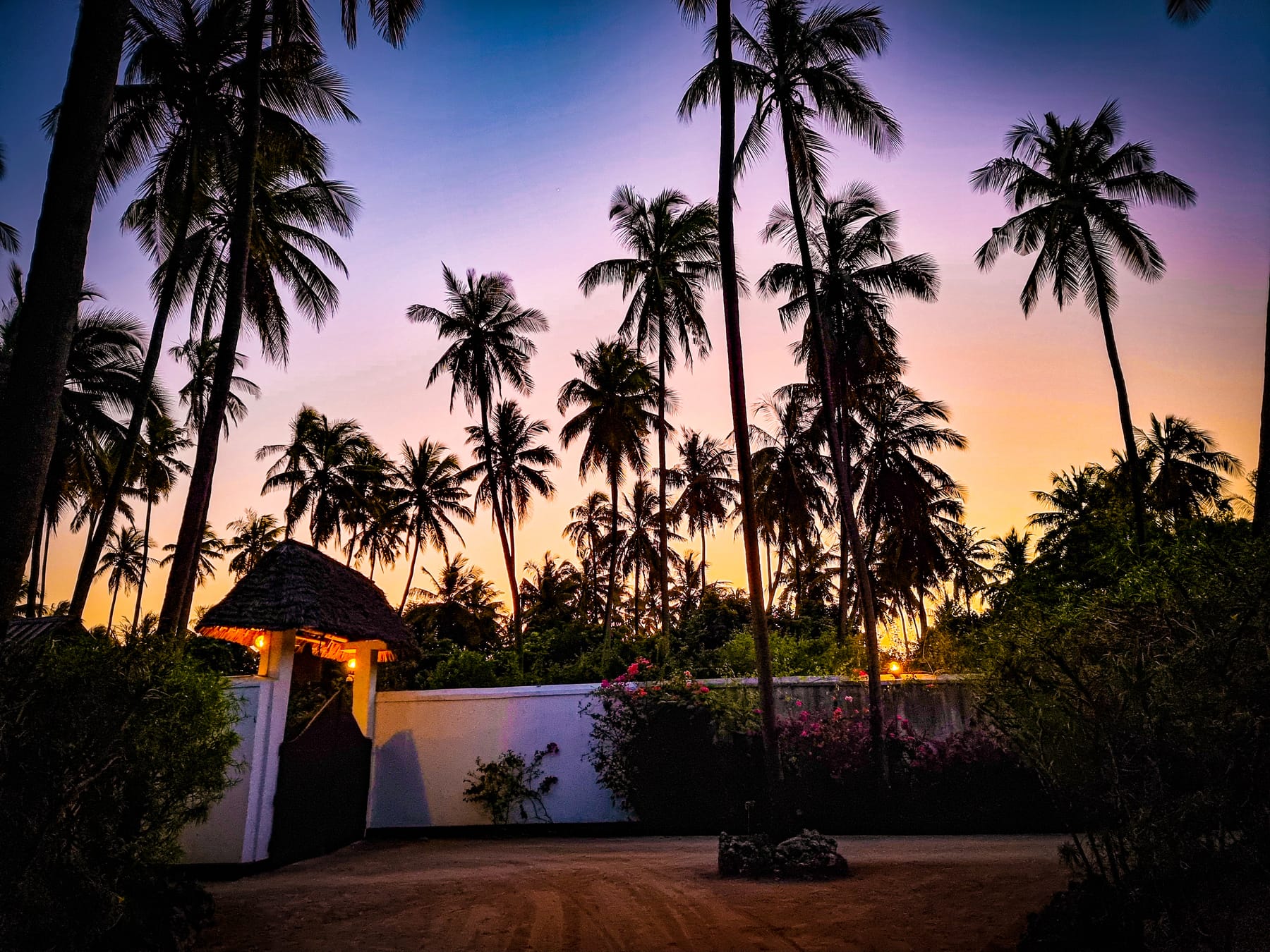 Des palmiers se découpant contre un ciel de coucher de soleil à l'entrée du Boutique Hotel Matlai