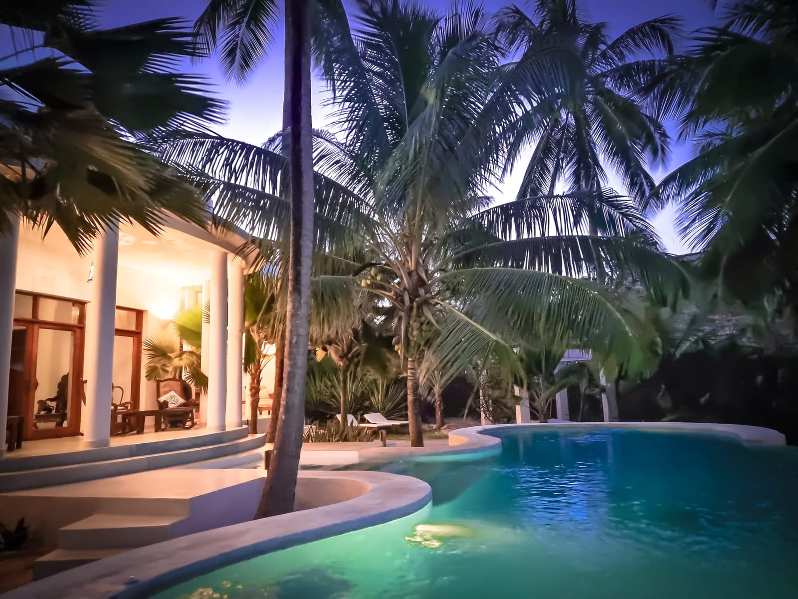 La piscine de la Villa Kidosho à l'aube, les palmiers au-dessus d'une eau immobile