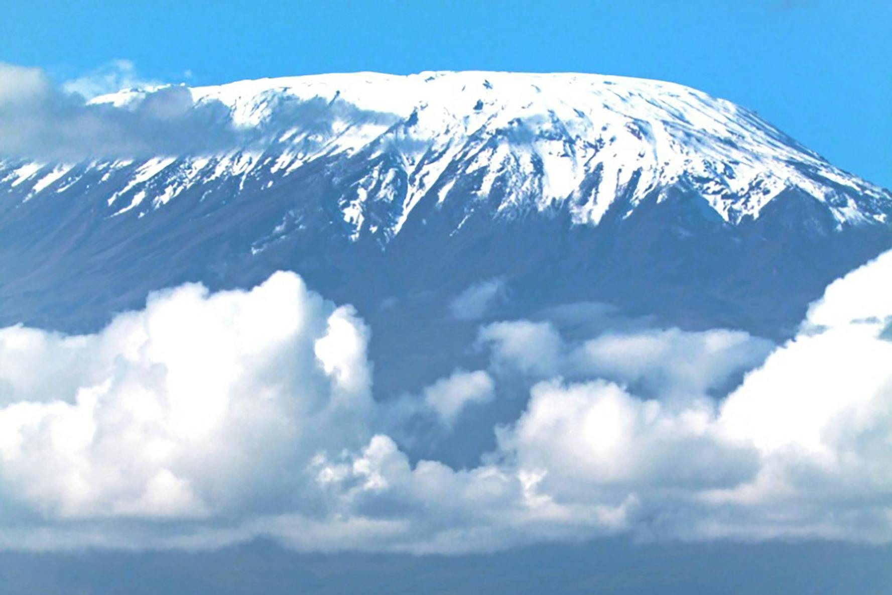 The snow-capped summit of Kilimanjaro rising above the clouds