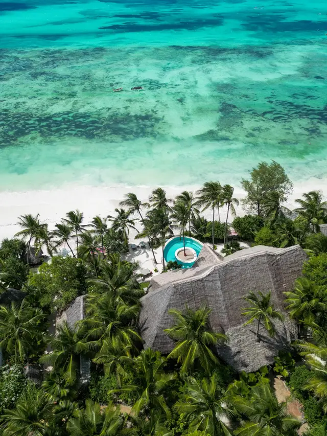 A thatched villa roof with a small pool among dense palm trees, seen from above, with the white beach and turquoise water behind