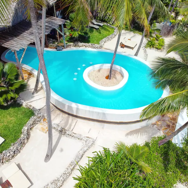 The turquoise Asili House pool with a palm on a small island in its centre, seen from above, with stone terraces and palm trees around it