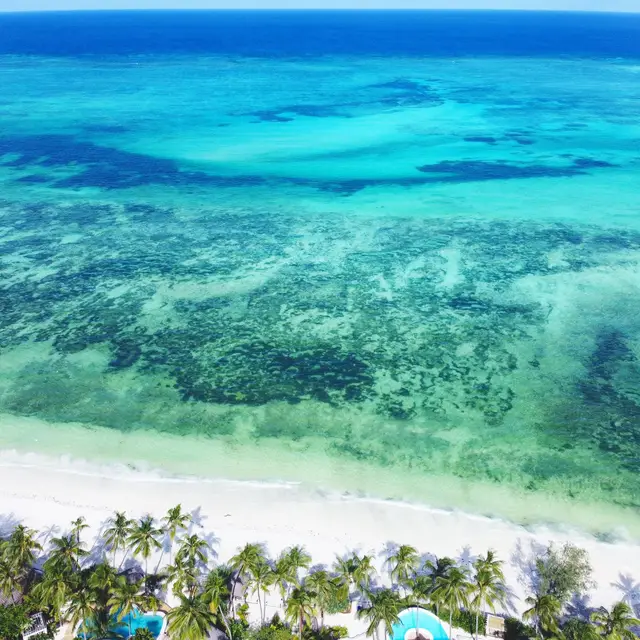 An aerial view of turquoise shallows over the reef, the white beach and palm trees with villa roofs at the bottom edge