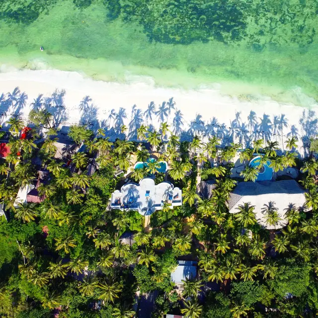 A top-down view of the beach and the palm grove, with the pools and the roofs of the villas among the palms