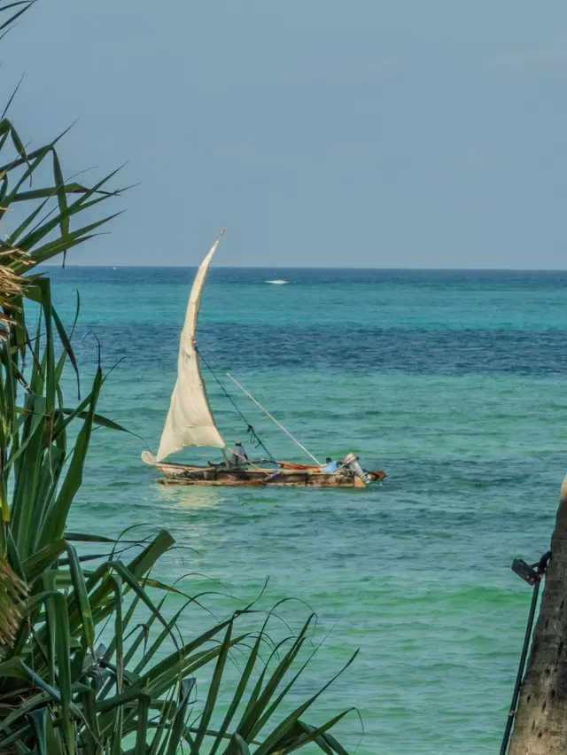 A traditional wooden sailing boat with a white sail on turquoise water, with palm fronds in the foreground