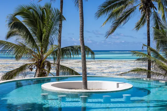 The pool at Asili House with a palm growing from a small island at its centre and the turquoise ocean behind