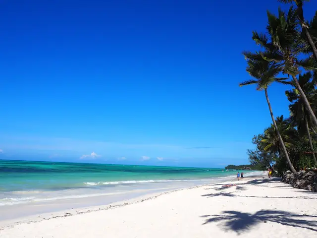 A white sand beach with palm trees and turquoise water under a deep blue sky