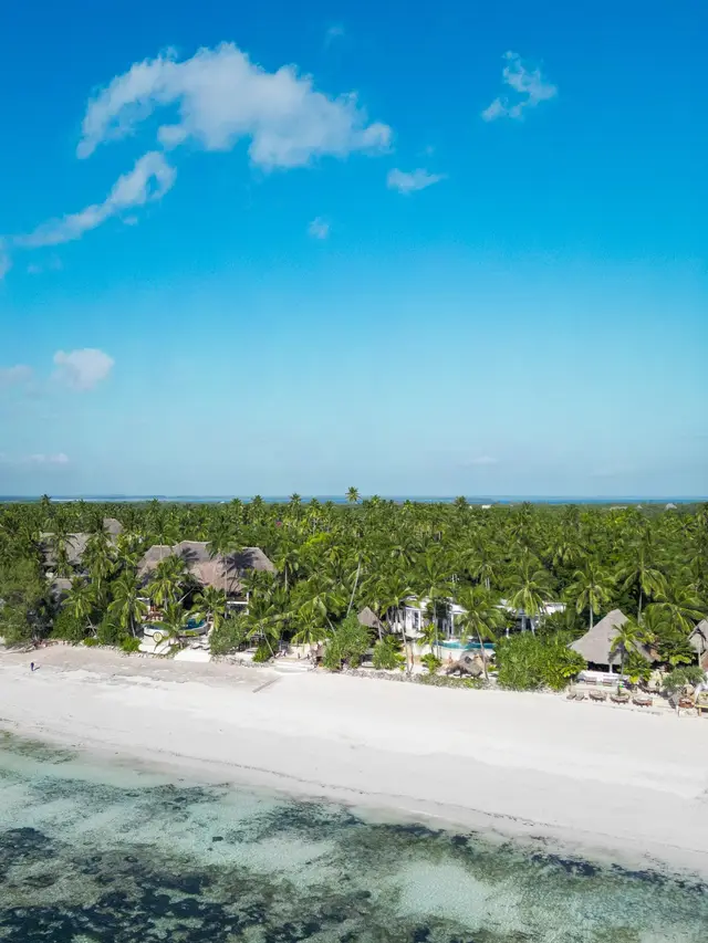 A strip of white sand between shallow turquoise water and a dense grove of palms, with thatched roofs among the trees